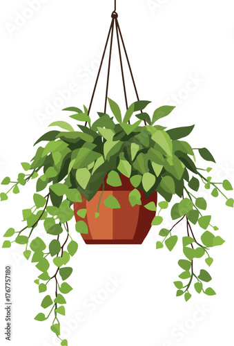 A hanging plant with vibrant green leaves in a suspended pot. Ideal for indoor decoration, balcony styling, and natural home aesthetics