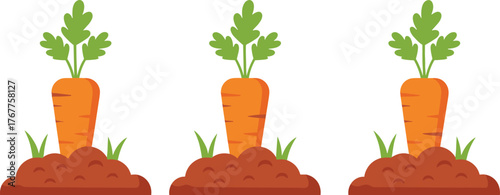Cartoon carrots, garden soil, vegetable farming, healthy food, agriculture concept, root vegetables, green leaves, outdoor garden, organic produce, illustration