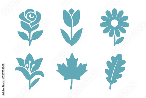 Stylized floral and botanical icons featuring rose tulip daisy lily maple and oak leaves