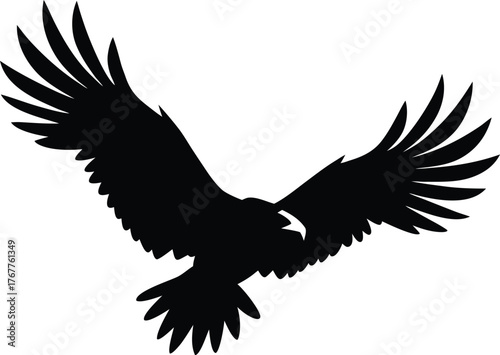 eagle on white background