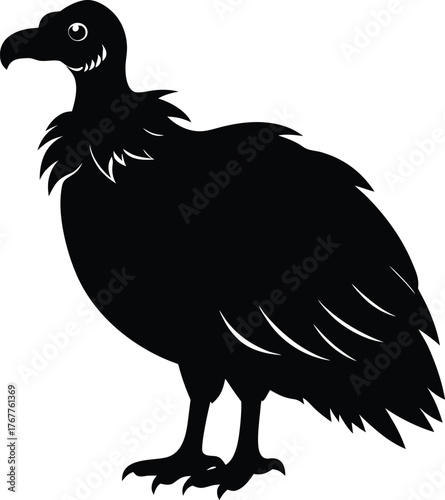 eagle vector illustration