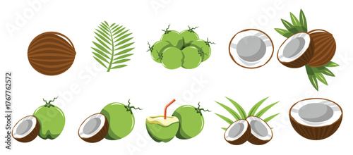  coconut vector set collection graphic clipart design