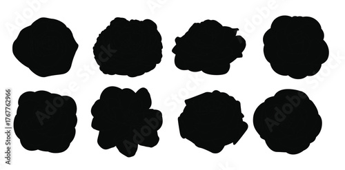 set of camellia vectors 