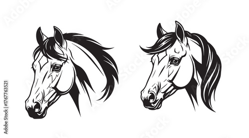 Two majestic horse head illustrations isolated on white background, showcasing intricate details and elegant lines, perfect for equestrianthemed designs and artwork