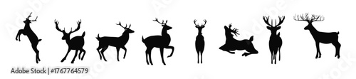  Caribou Vector illustration