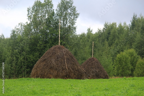 two stacks of hay in a mown field on a summer day