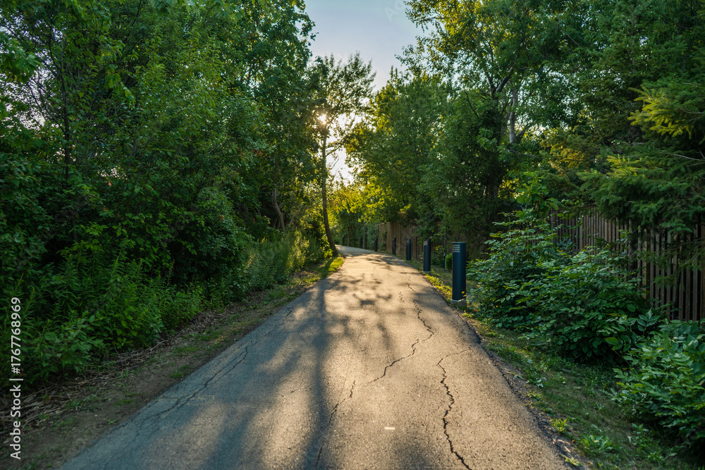 Obraz premium Park Path With Trees At Sunset
