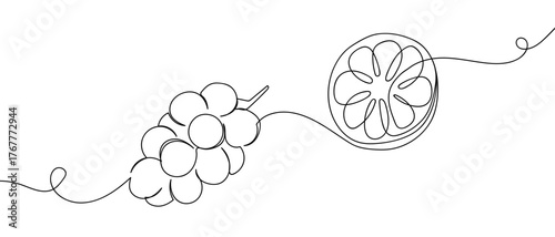 A bunch of grapes and halved oranges float in the air, one continuous line. Digital single line sketch drawing vector illustration edited strokes.
