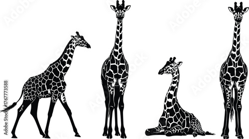 Collection of Giraffe animal silhouettes with patterned texture, featuring long necks in standing, walking, and sitting poses, symbolizing African safari wildlife.
