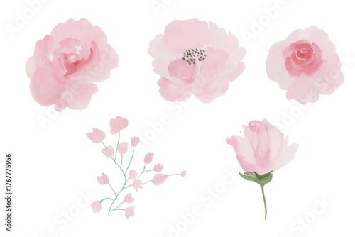set of roses watercolor illustration. hand drawn, isolated white background, flower clipart, for bouquets, wreaths, arrangements, wedding invitations, anniversary, birthday, postcards, greetings, card