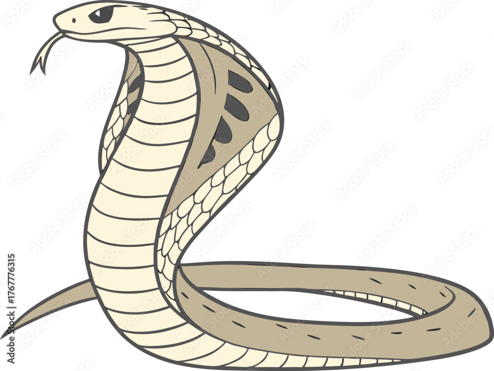 Fototapeta premium Snake graphic design | Dangerous wildlife reptile element