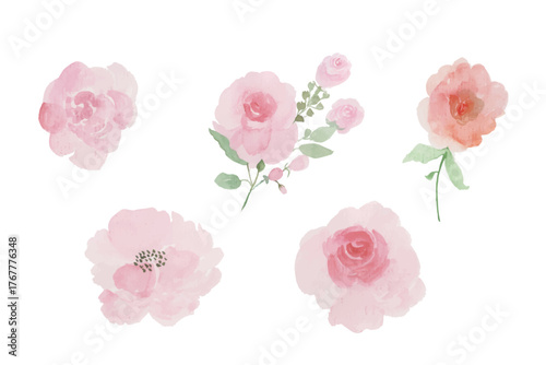 set of roses watercolor illustration. hand drawn, isolated white background, flower clipart, for bouquets, wreaths, arrangements, wedding invitations, anniversary, birthday, postcards, greetings, card