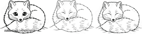 Set of Cute Arctic Fox Outline Vectors: Curled Up Sleeping Winter Animal Line Art Illustration Collection