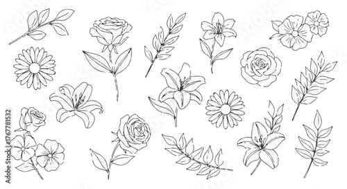 A delicate collection of hand drawn botanical floral illustrations featuring various blooming flowers and branches with leaves in a clean line art style