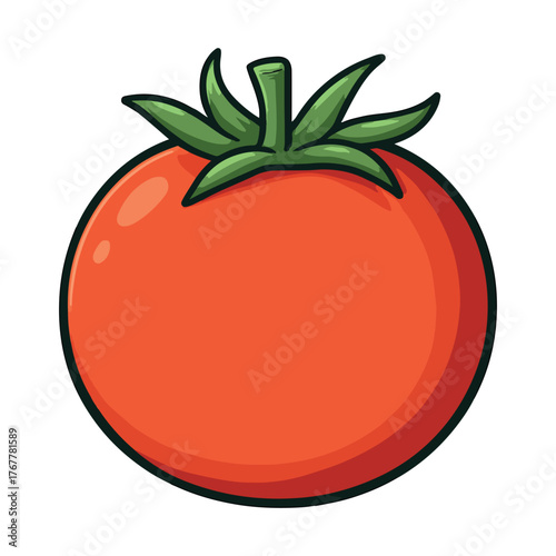 Cartoon tomato vector illustration on transparent background.