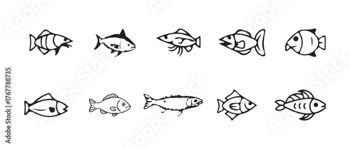 Fish logo icon set, different kinds of fish silhouette, ocean symbol or logo, fish vector designs, vector Illustration eps 10.