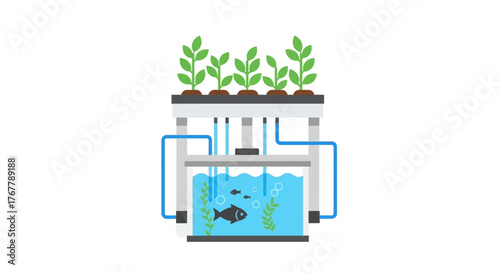 Aquaponics system showing plants and fish in a sustainable ecosystem.