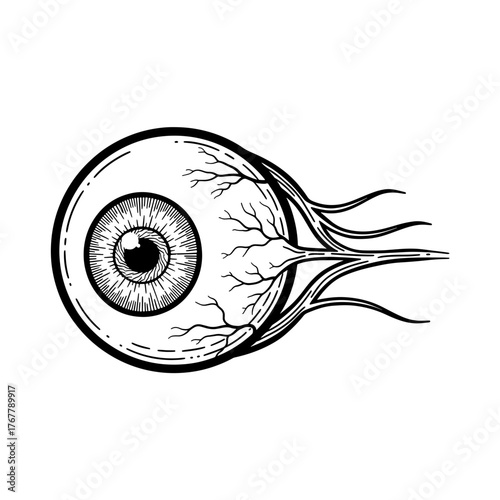 Human eye with veins, a detailed anatomical illustration of the organ of sight