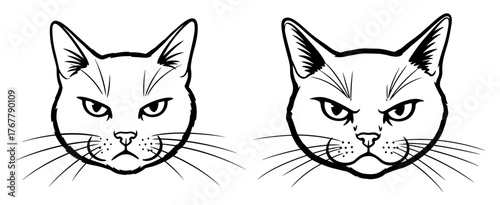 Two angry cat faces in black and white, with furrowed brows and whiskers