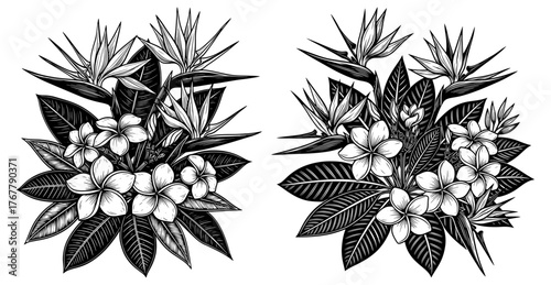 Illustration of tropical flowers, showcasing exotic beauty and natural elegance