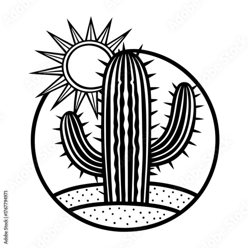 cactus under hot sun simple and clean