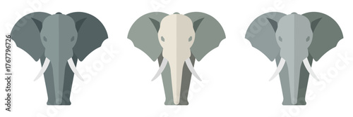 Elephant head icons, front view portraits with large ears, tusks detail, wildlife emblem set, vector clipart, isolated background