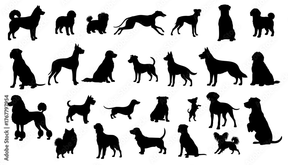 Obraz na plátně vector silhouettes of Dogs