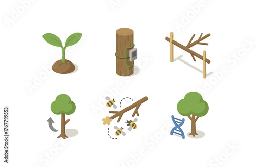 isometric icon items isolated on white background tree seedling stage tree flow sensor tree branch scaffold tree phototropism axis tree pollination vector tree genetic marker