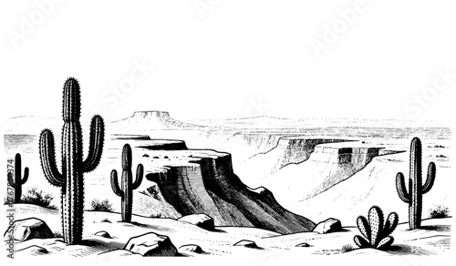 Vintage engraving landscape with cacti and canyons. Detailed black and white etching illustration of desert scenery in retro Western style.
