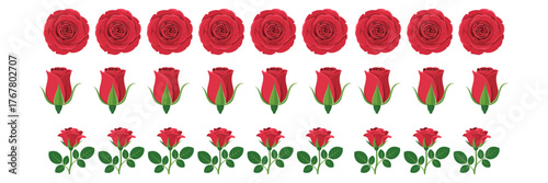 Red rose border pattern, repeating blooms and buds with leaves, romantic floral divider, wedding invitation trim, vector