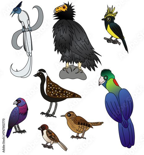 Collection of 8 birds: Rwenzori turaco, Indian paradise flycatcher,  California condor, sultan tit, golden plover, varied bunting, Eurasian tree sparrow. Vector drawing. 