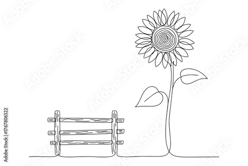 flower and fence,
Sunflower and Fence Line Drawing,
Black and White Rural Illustration