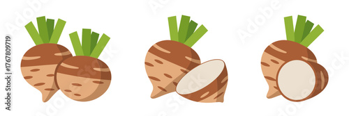 Tableau sur toile Cocoyam root set, round bulbs with tops, cross section slices, earthy texture ri