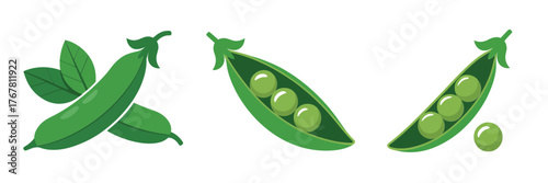 Fresh green peas in open pod, leaf accent, single pea, crisp vegetable icon, healthy cooking ingredient vector