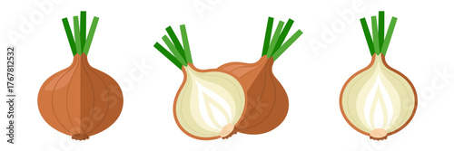 Onion assortment, brown bulbs, white bulb, leafy tops, cooking essentials, pantry vegetables illustration, culinary ingredient vector clipart