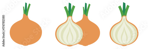 Onion group, golden skins, white flesh, garden harvest, bulb vegetables clipart, kitchen pantry staples, market produce vector