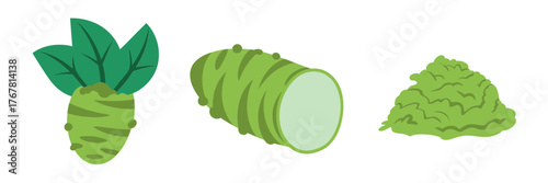 Asian greens assortment, bok choy cabbage and shredded lettuce, leafy vegetable set, healthy cooking ingredients, fresh produce vector