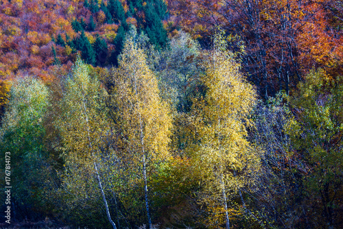 Hiking in autumn, Sadu Romania