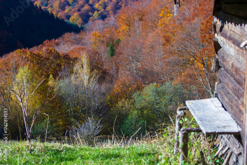 Hiking in autumn, Sadu Romania
