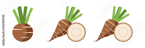 Turnip and radish roots, small round bulbs, sliced interior rings, leafy sprout tops, farmers market clipart, culinary vector