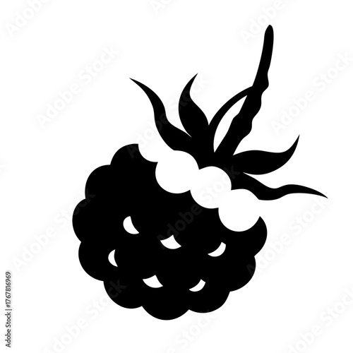 Black silhouette of a raspberry