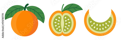 Orange fruit with leaf, halved citrus showing seeds, fresh vitamin rich produce, kitchen ingredients, vector clipart, isolated