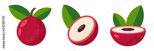 Lychee fruit trio, glossy red skins, cut halves with seed, lush leaves, exotic tropical icons, vector design