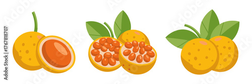 Yellow passion fruit set, whole fruit with leaf, half cut showing seeds, juicy tropical pulp, refreshing dessert vector