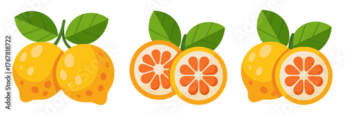 Orange tangerine fruits, whole with leaves, sliced halves, juicy segments, citrus illustration set, vitamin rich snack, market vector