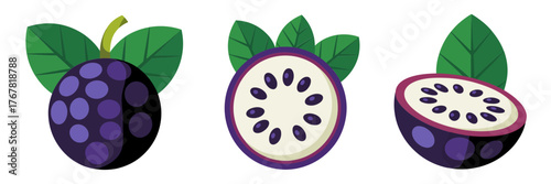 Purple star apple set, whole and sliced fruit, white interior seeds, glossy leaves, tropical produce illustration, healthy vector