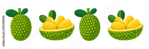 Sugar apple set, green custard fruits with leaves, bowl of jackfruit pods, tropical produce clipart, vector graphics