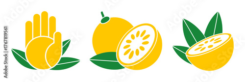 Buddha hand citron, round citrus fruit and half section, aromatic rind with seeds, tropical citrus collection, vector illustration