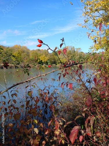 autumn in the park