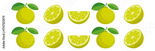 Lime assortment pattern, whole fruits with leaves, halves and wedges, repeating border set, refreshing citrus decoration vector